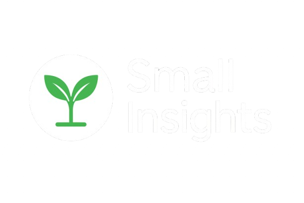 Small Insights